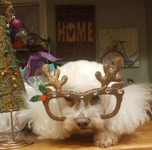 Meet your Posher, Annette